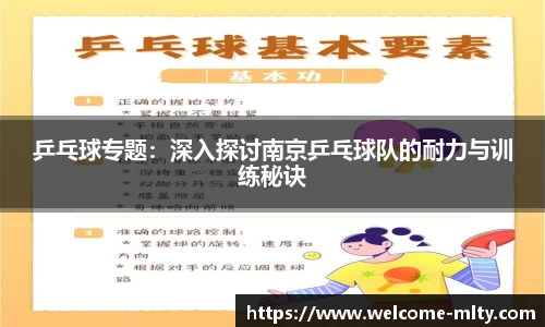 乒乓球专题：深入探讨南京乒乓球队的耐力与训练秘诀